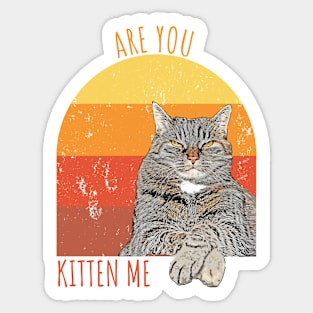 Are You Kitten Me Sticker